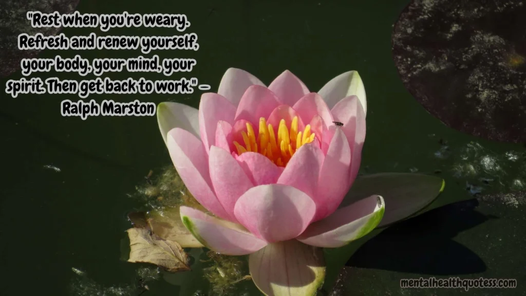 Quotes About Self-Compassion and Grace