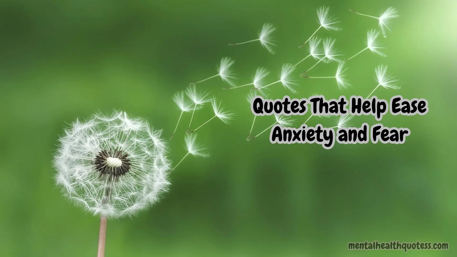 45 Quotes That Help Ease Anxiety and Fear