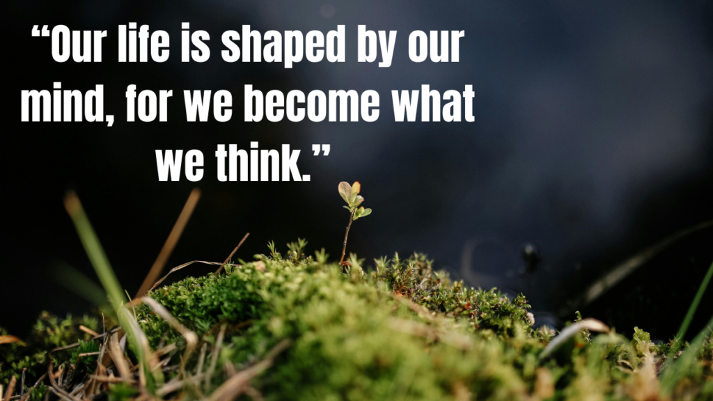 30 Quotes That Help You Stay Present and Grounded