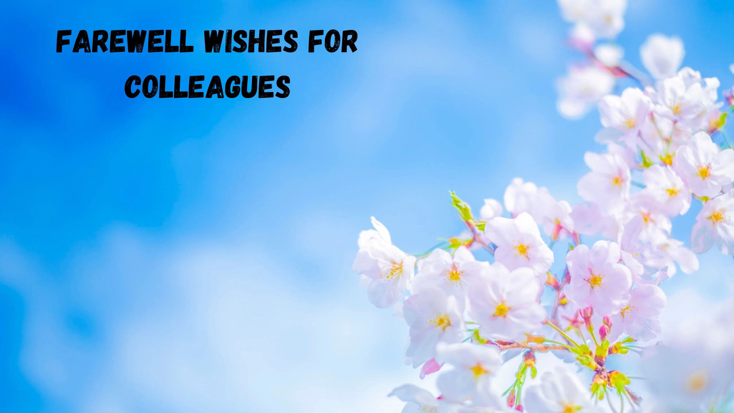 40+ Short Farewell Wishes for Colleagues — Heartfelt Goodbye Messages for Every Workplace Goodbye